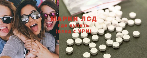 PSILOCYBIN Майский