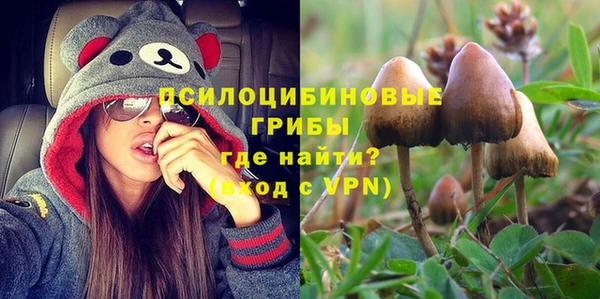 прущая мука Магас