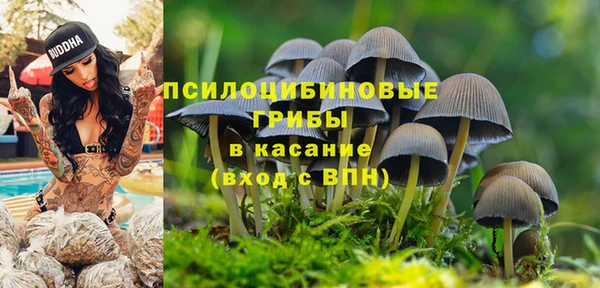 прущая мука Магас