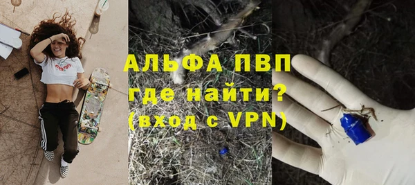 PSILOCYBIN Майский